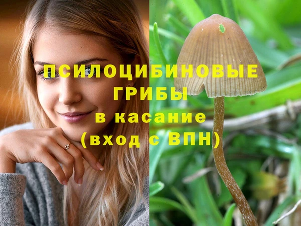 спайс Абинск