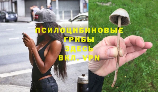 спайс Абинск